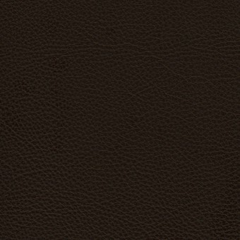 FABRIC Leather Due : Due / Chocolate FABRIC Leather Due : Due / Chocolate